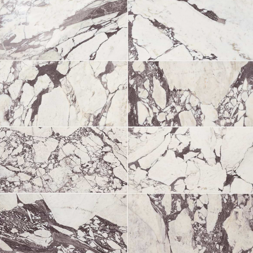 Calacatta Viola Premium 12" X 24"