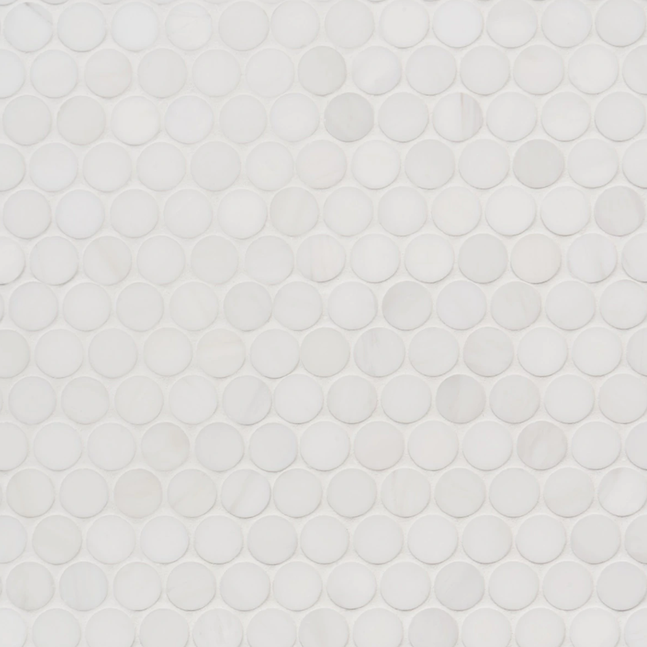 Bianco Dolomite White 1" Penny Round Premiu Polished Mosaic