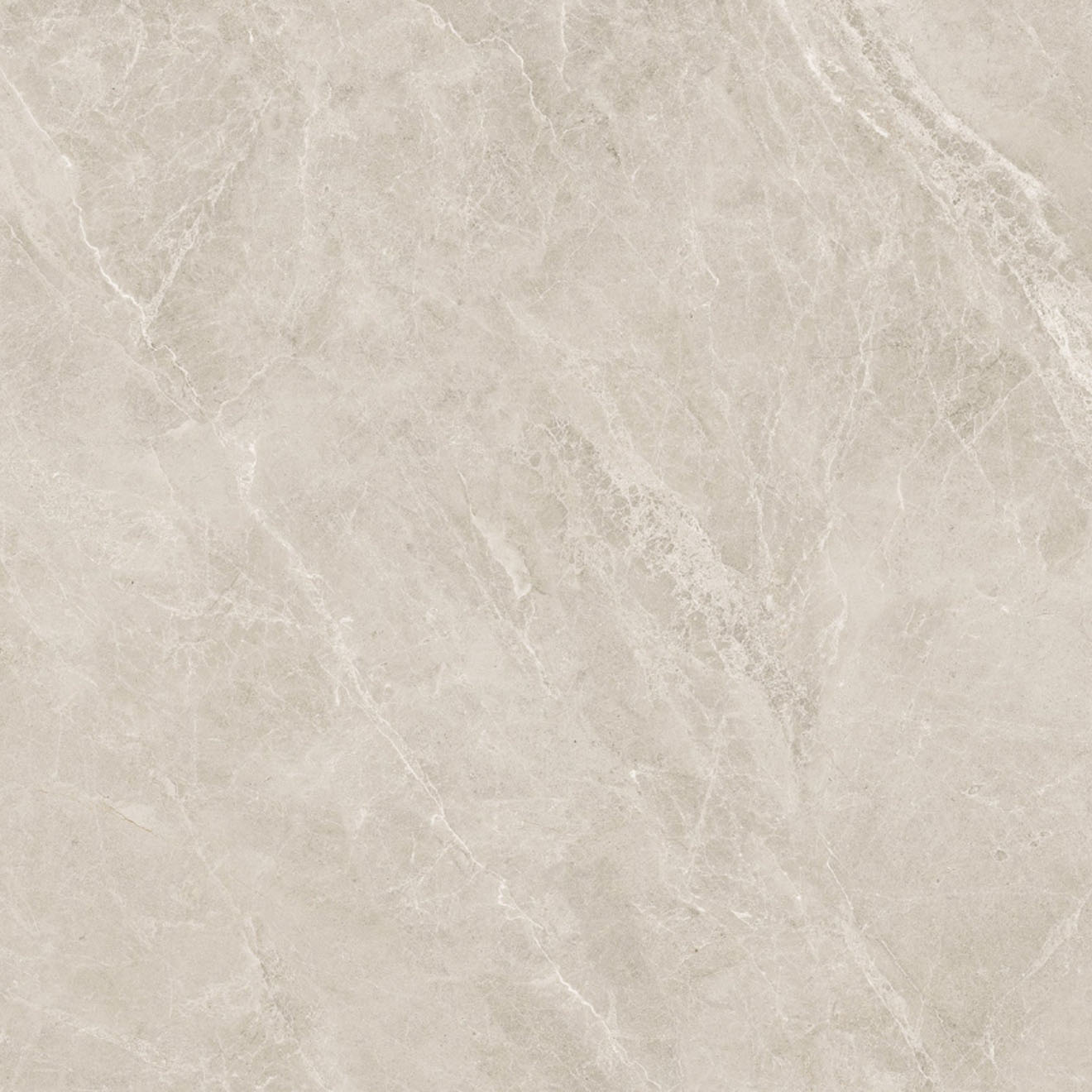 Swan Latte Rectified Polished 48"X 48"