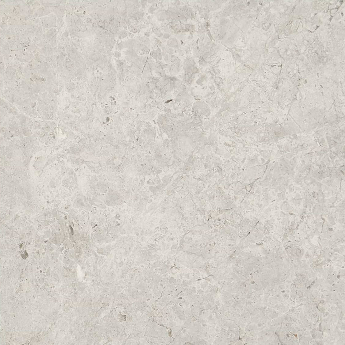 Tundra Gray 3" x 6" Honed