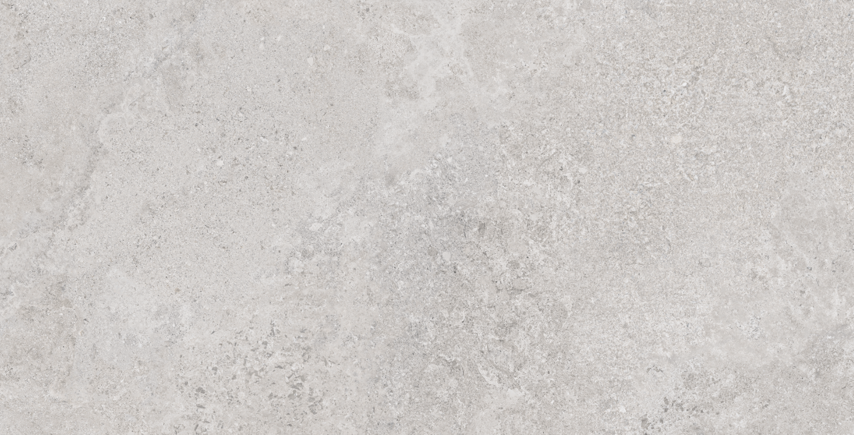 June Gris Matte 24" X 48"