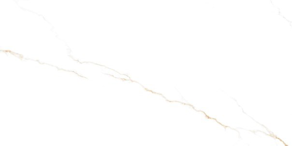 Thuile White Polished 24"X 48
