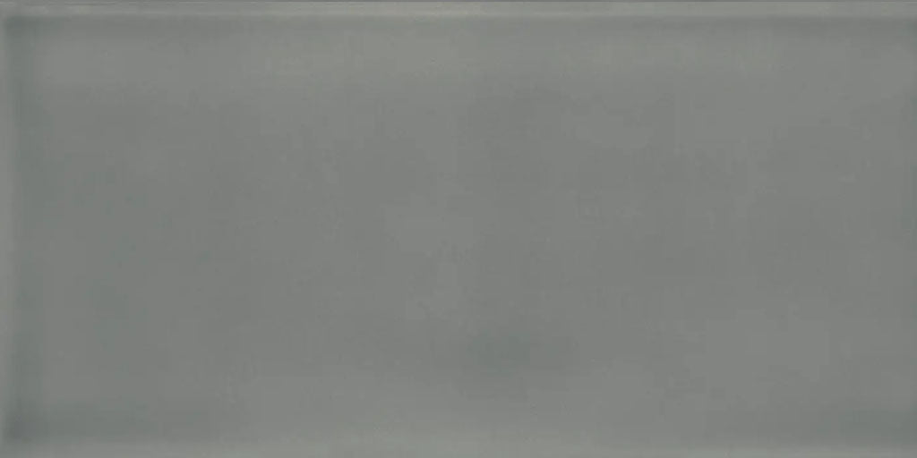Joy Dark Gray 4" x 10" Polished