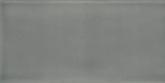 Joy Dark Gray 4" x 10" Polished