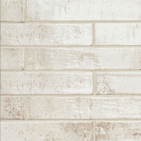 Stella Biscotti Glossy 2" X 10"