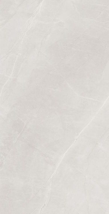 Elegant Bianco Polished 24"X48"