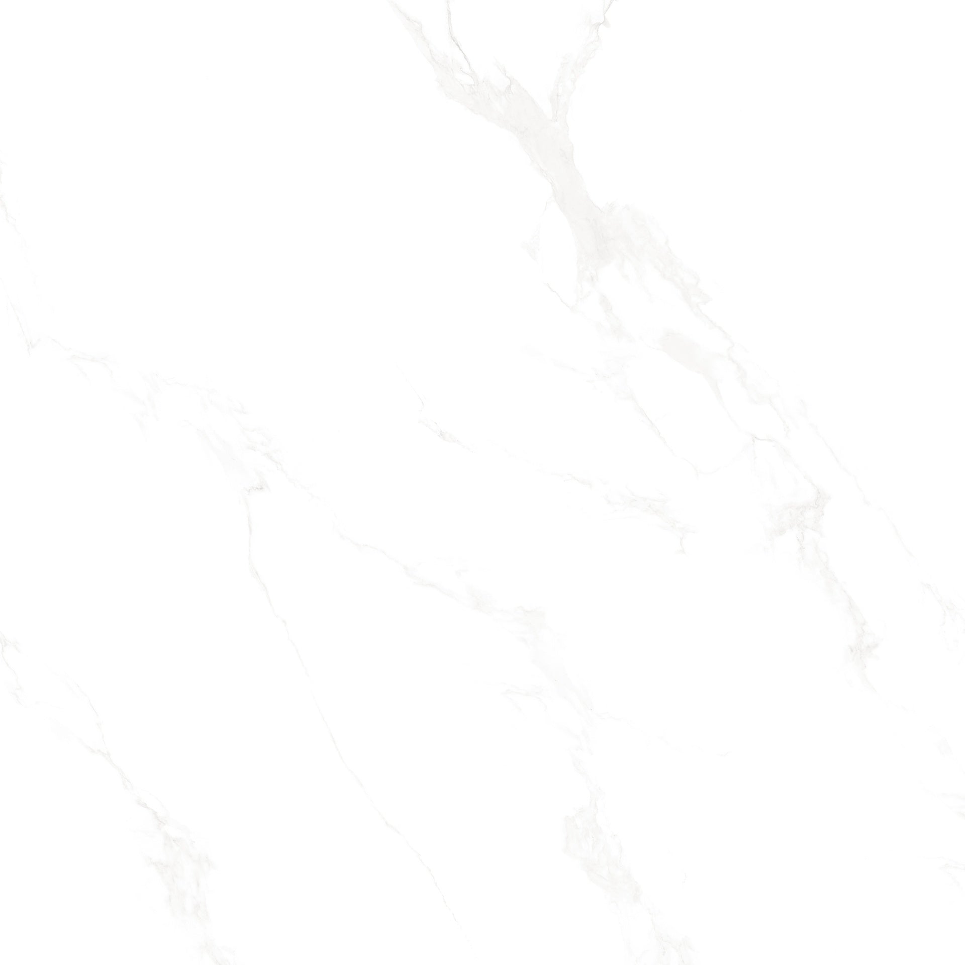 Marble Carrara Matte 48"x48"