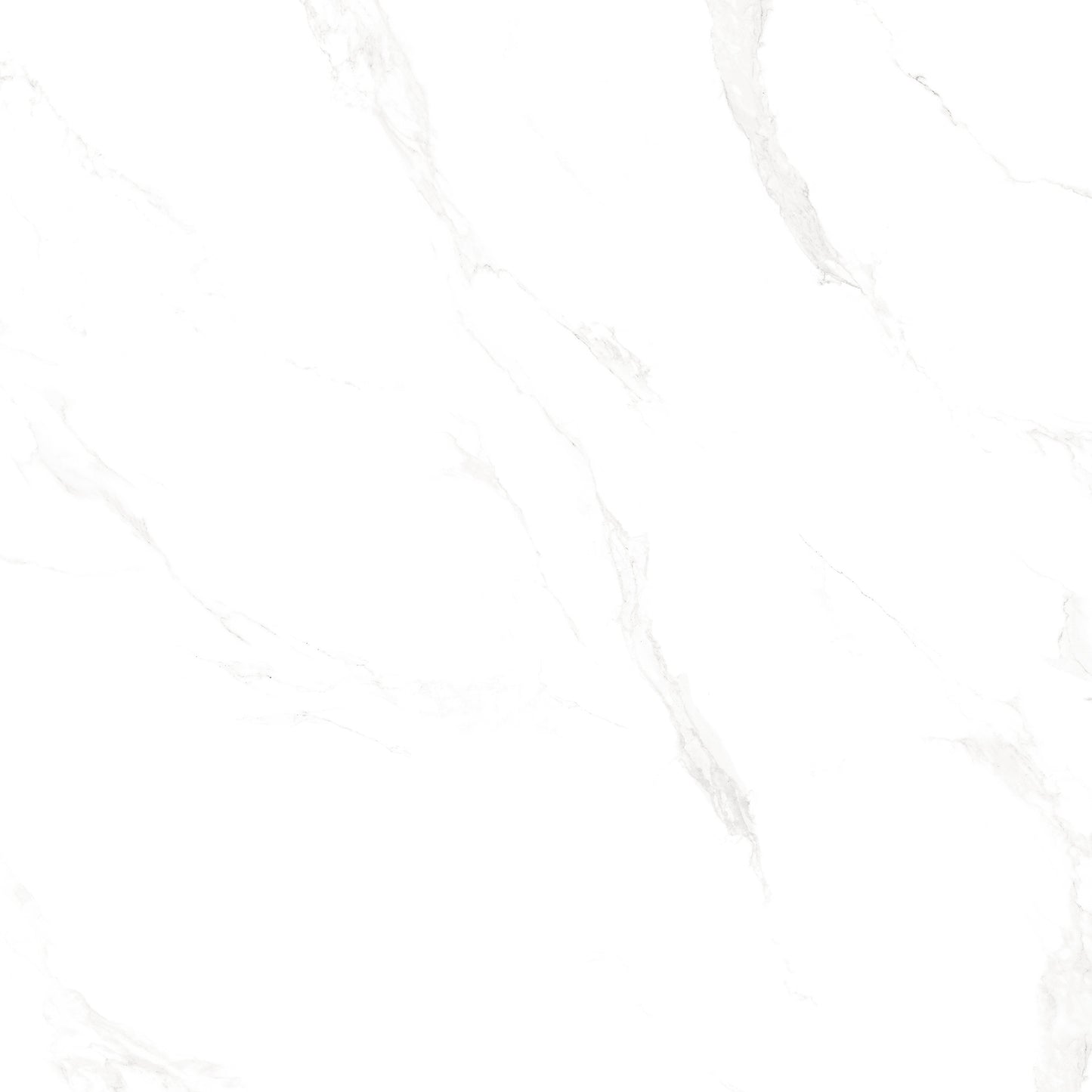 Marble Carrara Polished 48"X48"