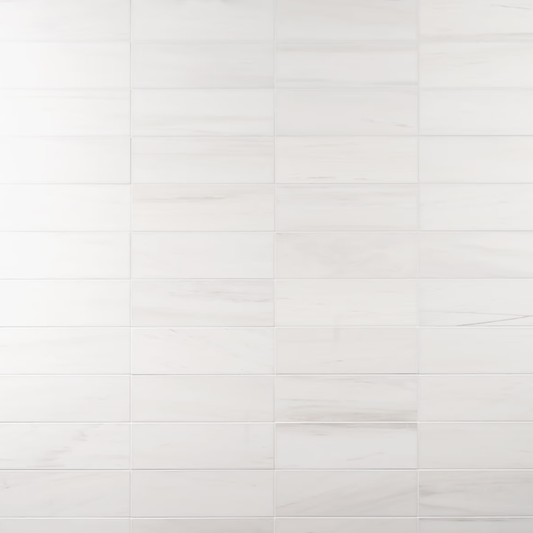 Bianco Dolomite White  Premium 4" x 12"