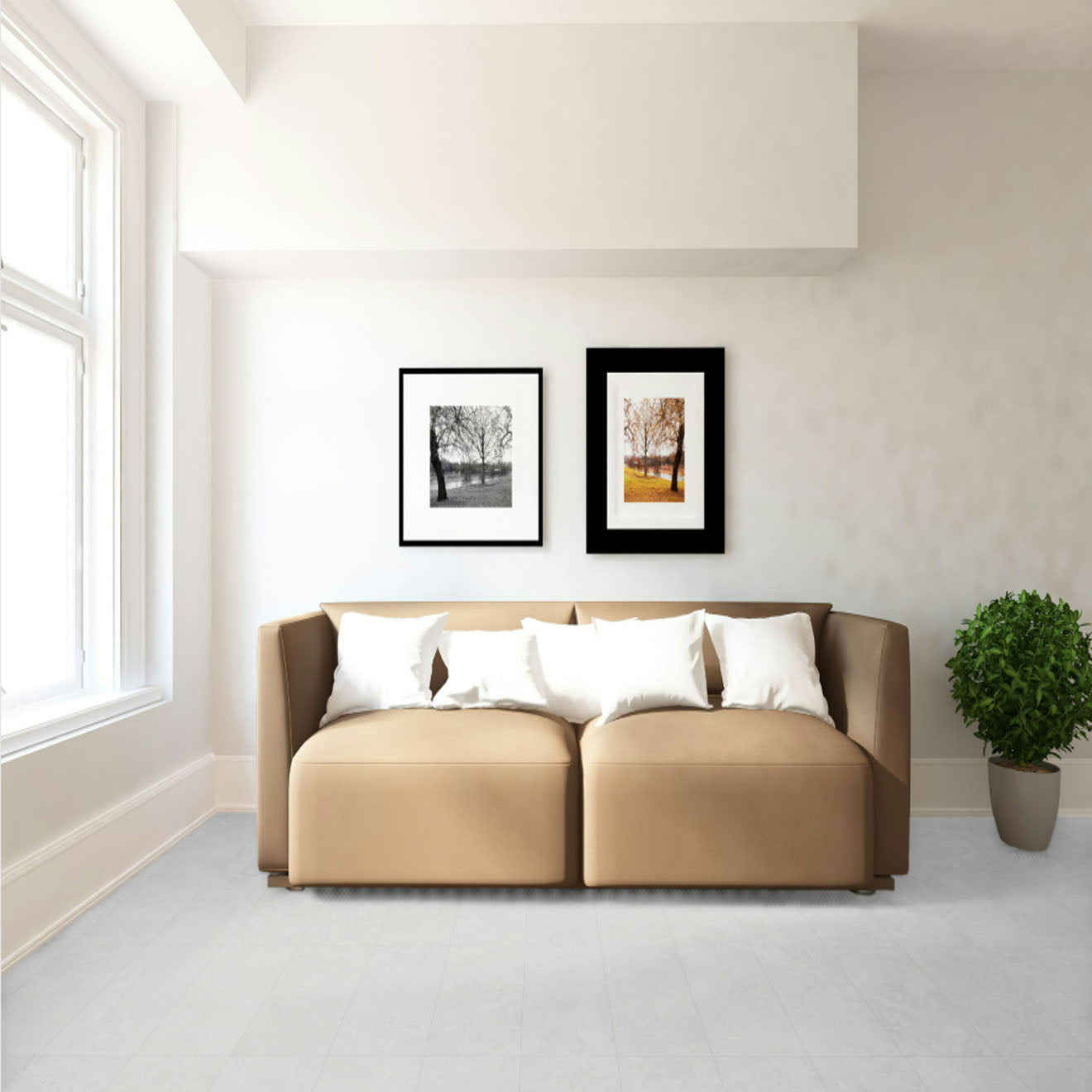 Avalon Blanco R Matte 48"X 48"