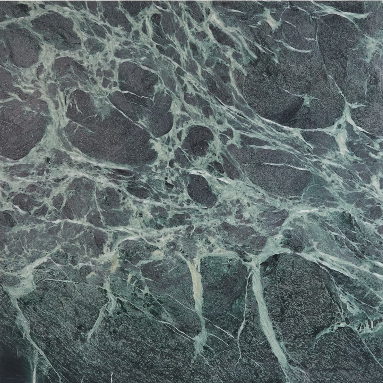 Verde Alpi 24"x24" Honed