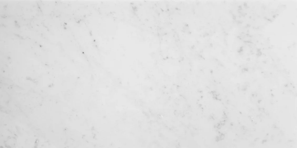 Carrara C White 12" x 24"