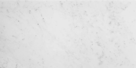 Carrara C White 12" x 24"