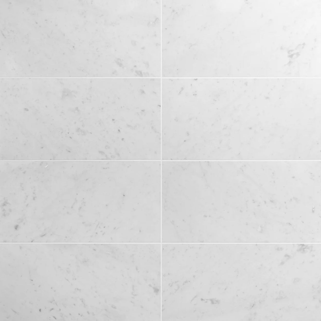 Carrara C White 12" x 24"