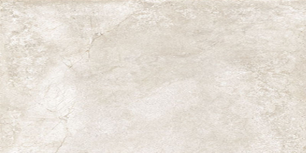 Soreno Ivory Matte 24"x 48"