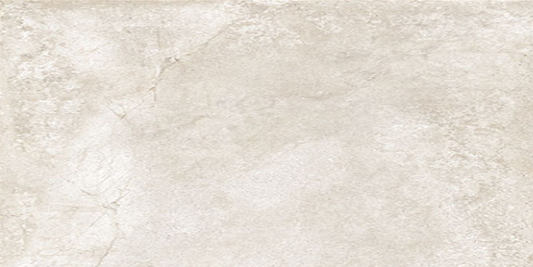 Soreno Ivory Matte 24"x 48"