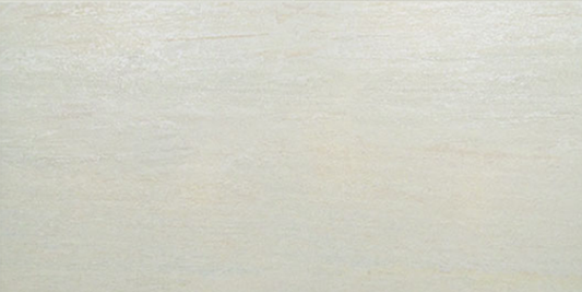 Legions Quartz White Matte 24"x 48"