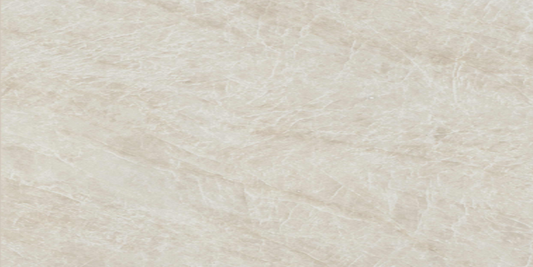 Legions Taja Ivory Matte 24"x 48"