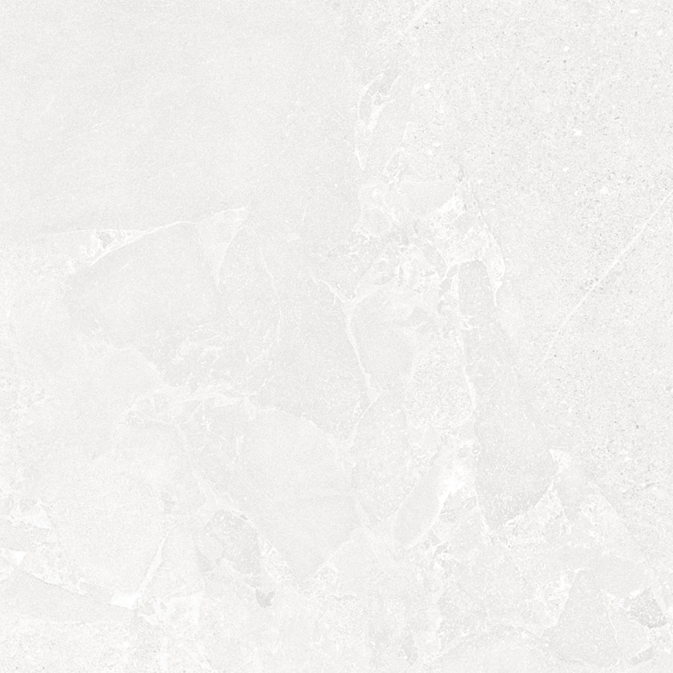 Avalon Blanco R Matte 48"X 48"
