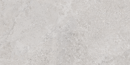 June Grey R Matte 24"X48"