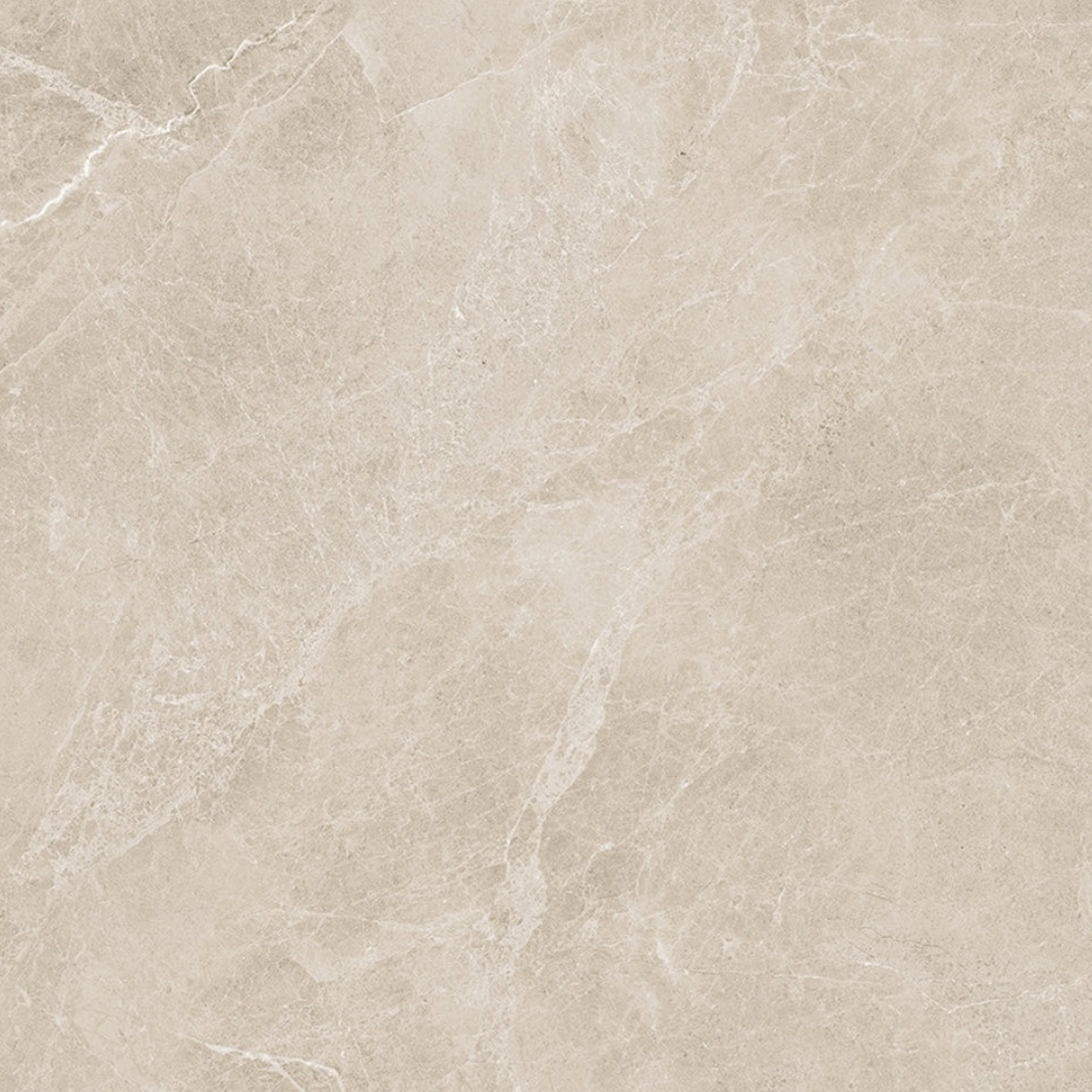 Swan Latte Rectified Matte  48"X 48"
