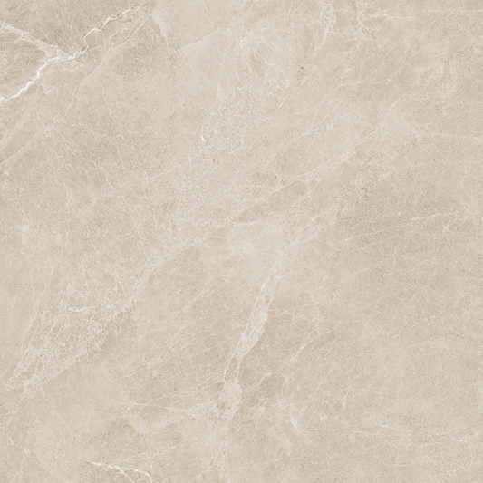 Swan Latte Rectified Matte  48"X 48"
