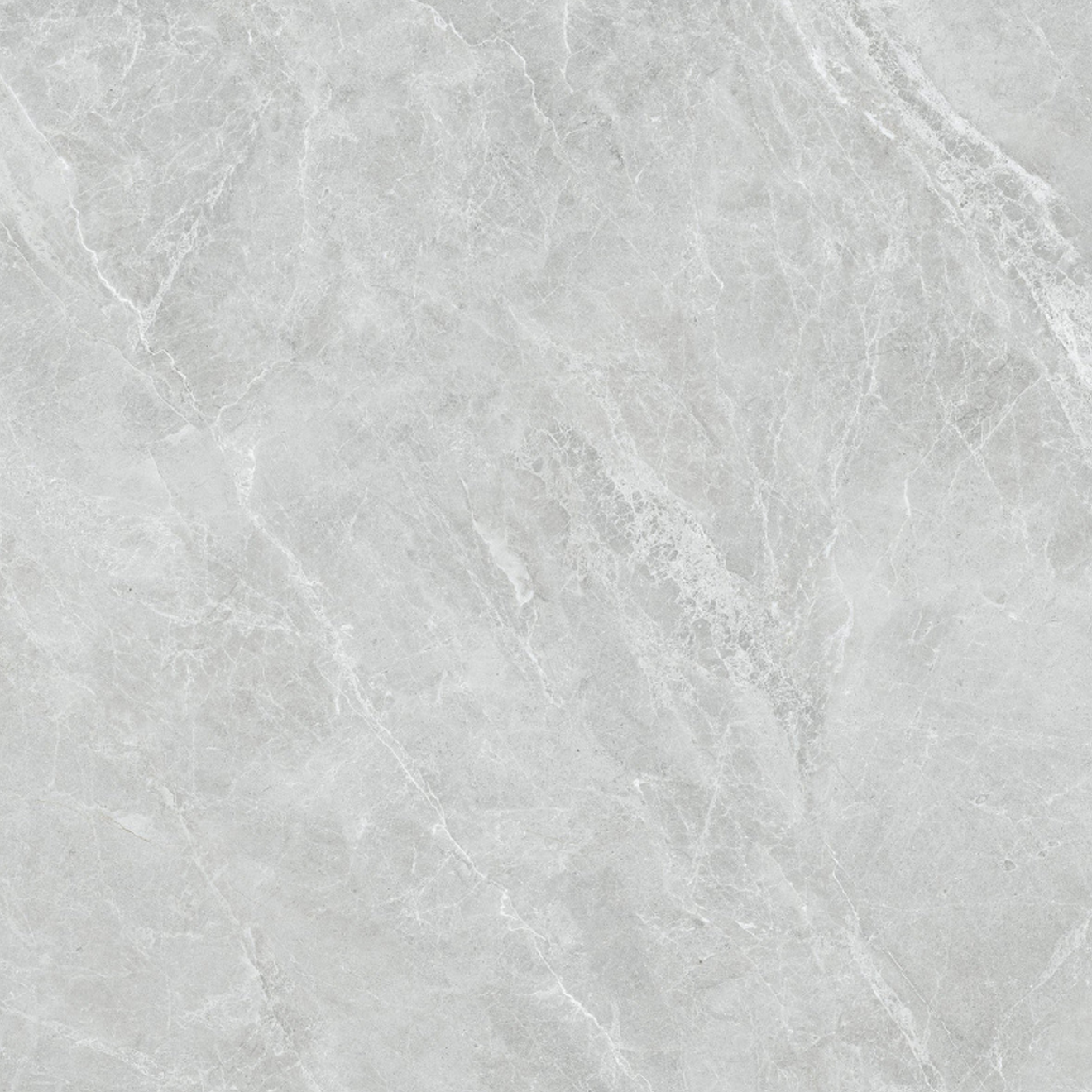 Swan Grey Polished  48"X 48"
