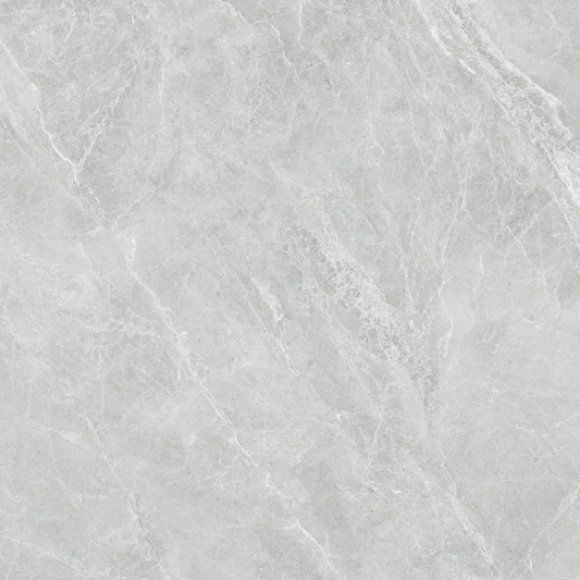 Swan Grey Polished  48"X 48"