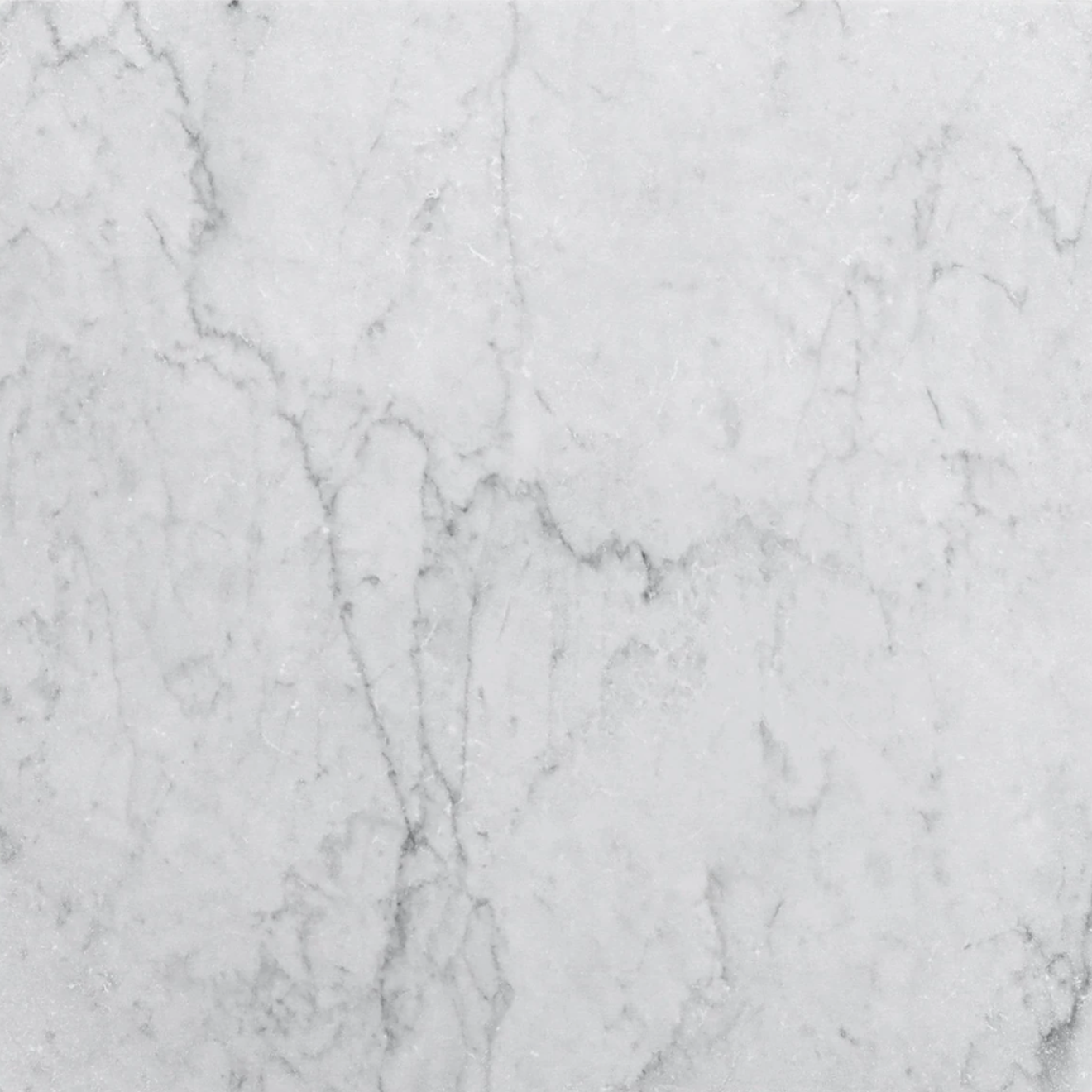 Avanti Bianco Carrara White 12" x 12" Tumbled 