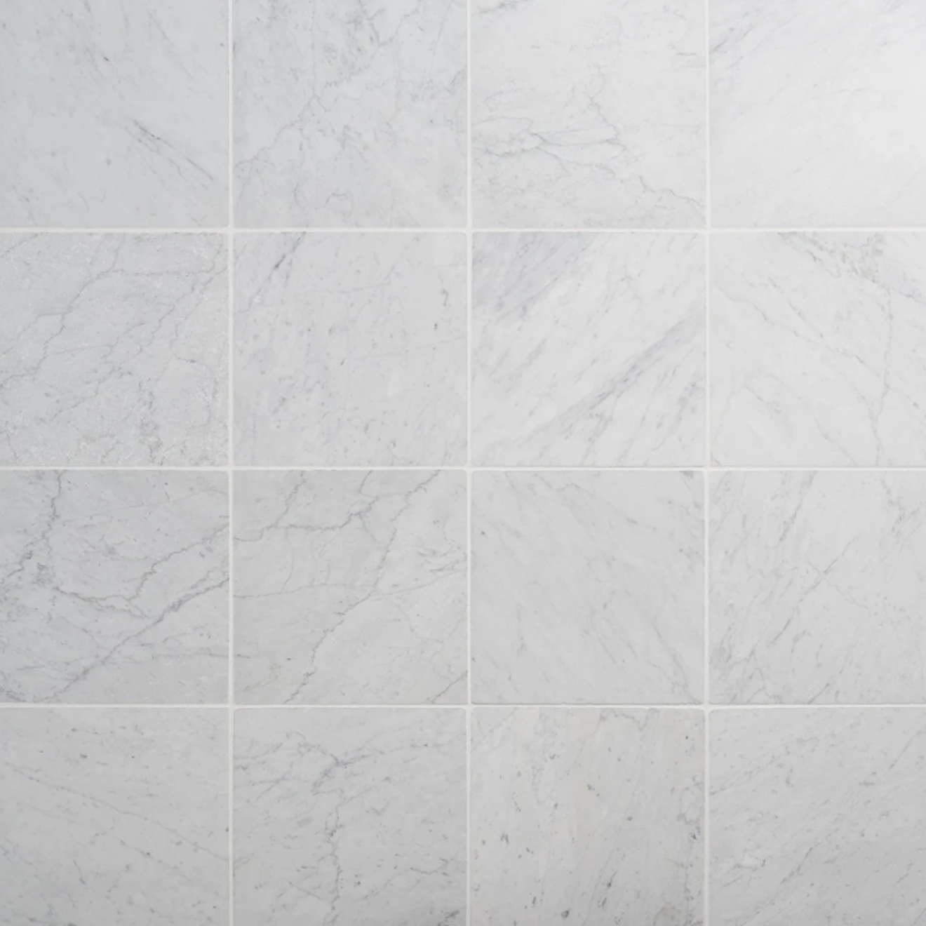 Avanti Bianco Carrara White 12" x 12" Tumbled 