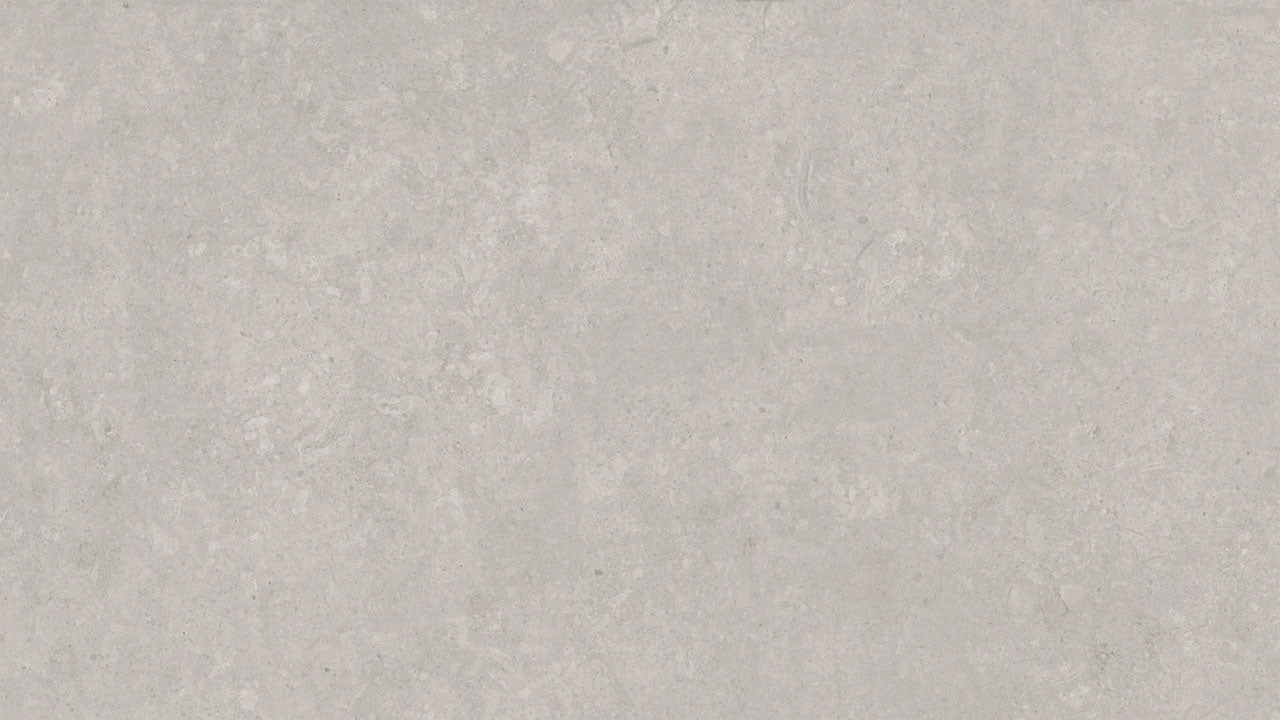 Savoy Fiorito Gray Matte 24" X 48"