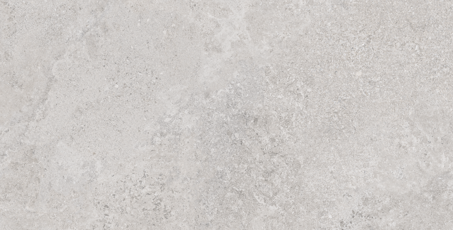 June Gris Matte 24" X 48"