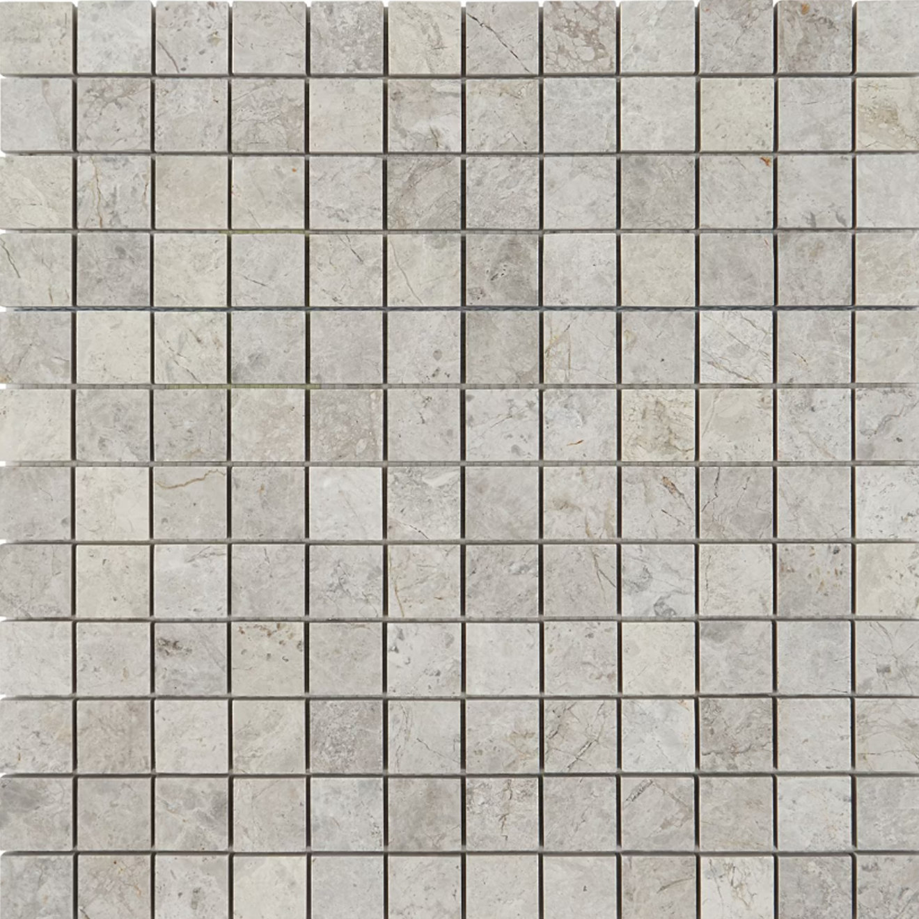 Tundra Gray 1" x 1" Mosaic