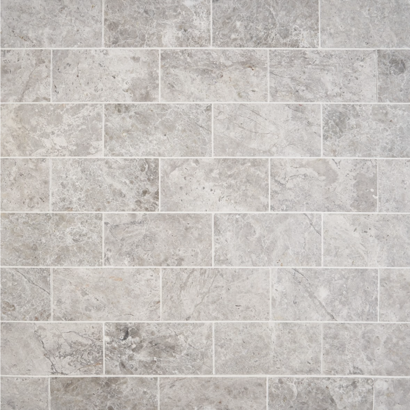Tundra Gray 3" x 6" Honed 