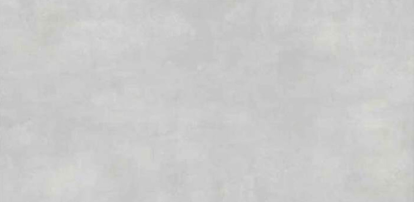 Concreto Lieve Matte 24"X 48