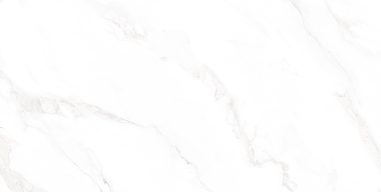 Essential White Polished 24"X 48