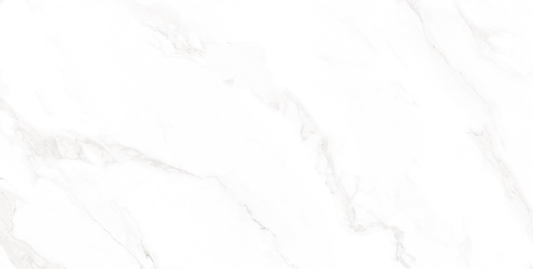 Essential White Polished 24"X 48