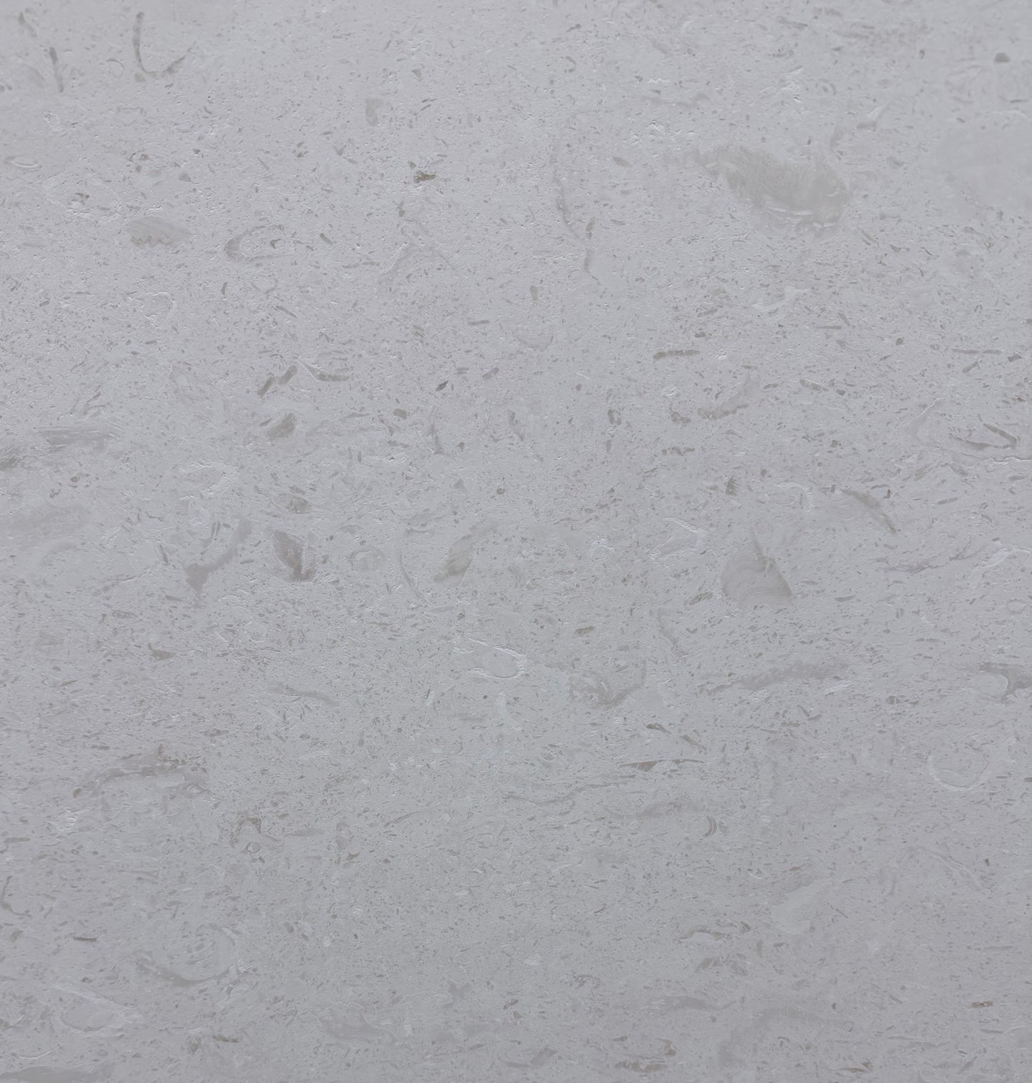 Shellstone 2CM
