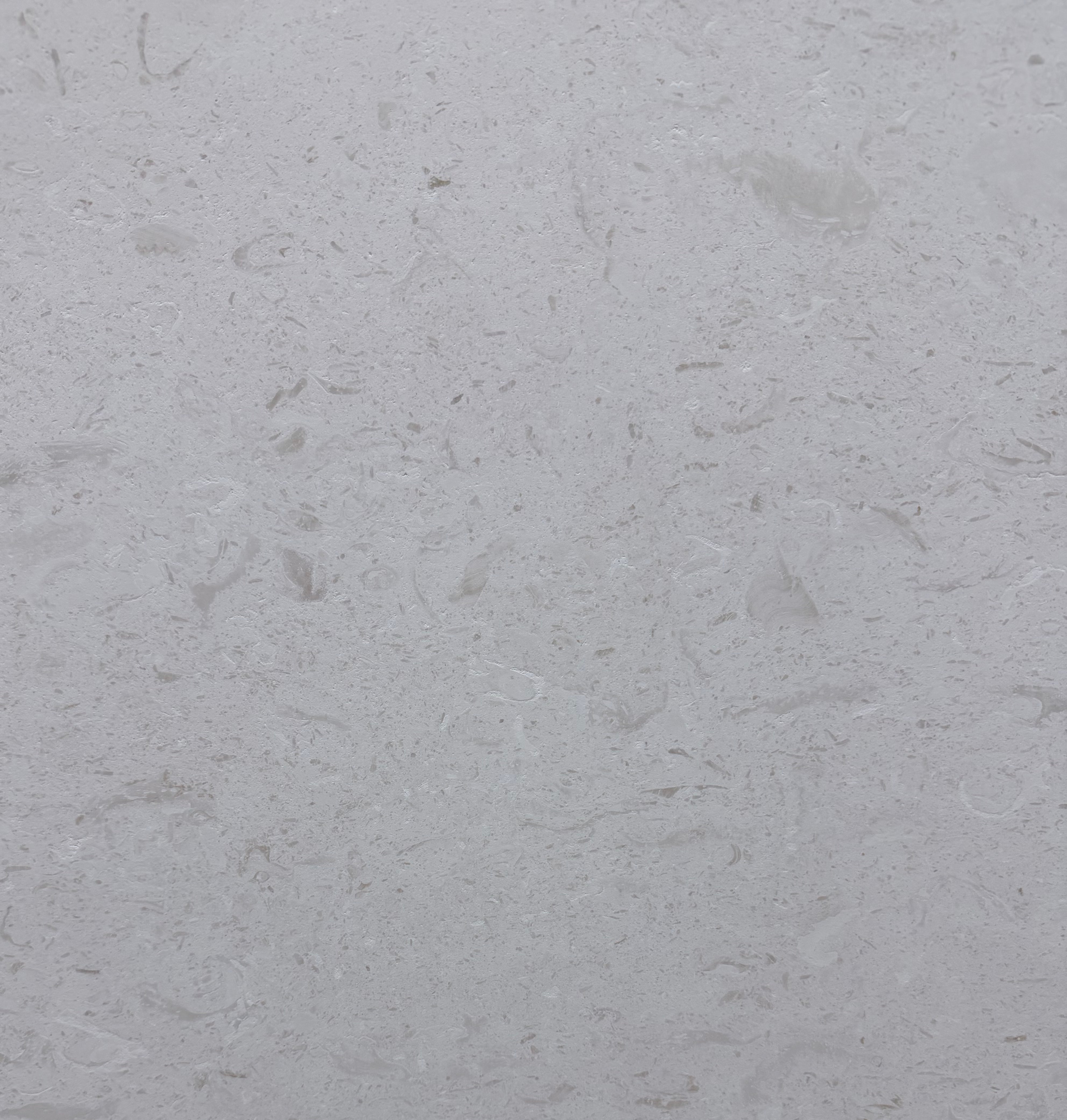 Shellstone - Limestone 2CM